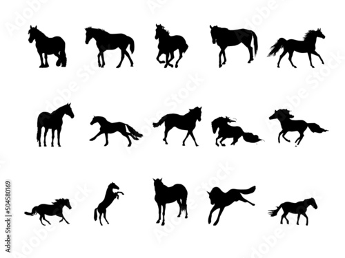 Fototapeta Naklejka Na Ścianę i Meble -  Horse Vector Art. Jumping horse.horse icons