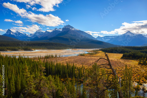 Howse Pass Viewpoint in Banff National Park, Canada