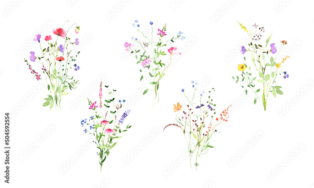 Beautiful watercolor wildflowers meadow bouquets, great summer design. Rustic floral illustration. Spring floral decor - obrazy, fototapety, plakaty 
