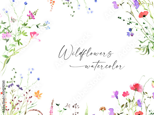 Watercolor meadow wildflowers on white background. Spring, summer garden. Botanical card design. Floral template photo