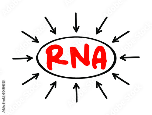 RNA Ribonucleic acid - polymeric molecule essential in various biological roles in regulation and expression of genes, acronym text with arrows