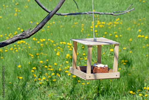 A small do-it-yourself wooden bird feeder on a tree in a local park.