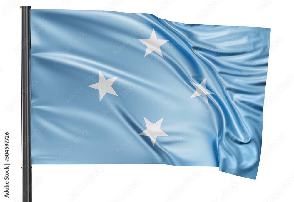 Micronesia national flag