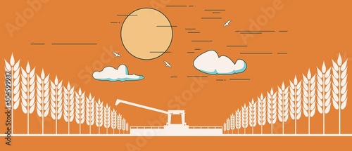 Harvesting machine working in the field. Combine harvester agricultural machine ride in the field of ripe wheat.