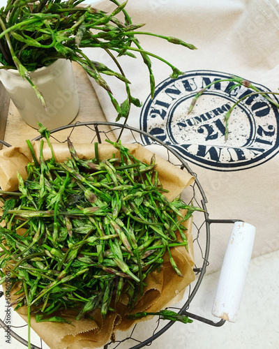 basket with young hop shoots, early spring, spring harvest, green hop shoots, harvest from the meadow