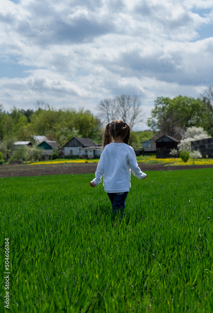 little girl walks through a field of young green wheat. Rural houses in the background. Spring landscape, a view from the back. little girl walks through a field of young green wheat. Rural houses in the background. Spring landscape, a view from the back.