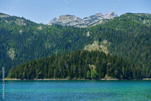 Landscape with a coniferous forest near a mountain lake in Montenegro, Durmitor, Black Lake