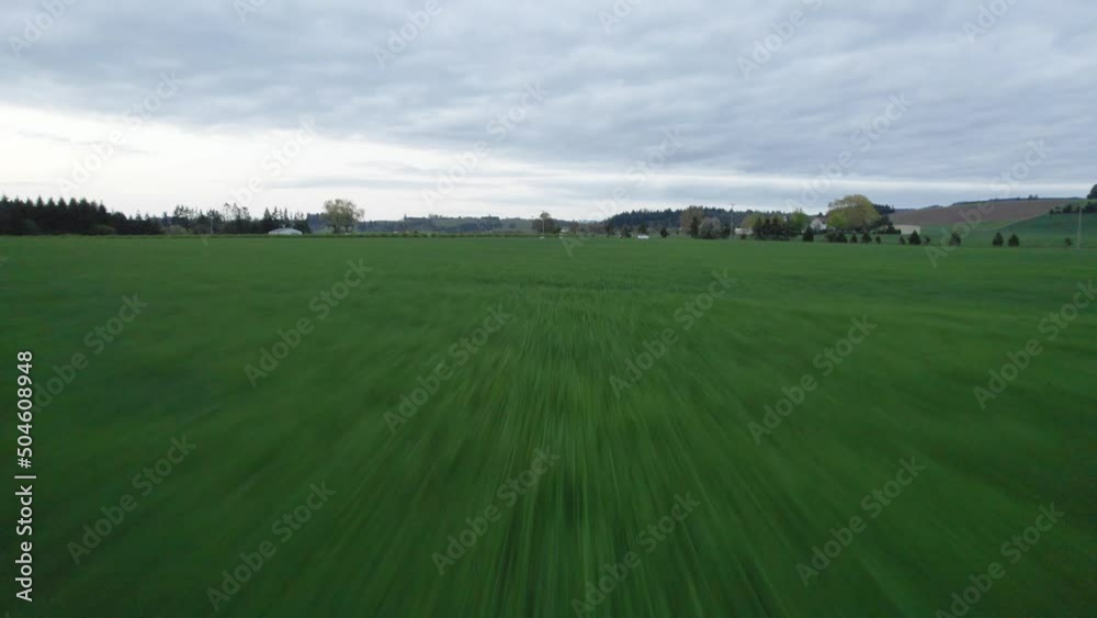 Flying through farmer's grass field with a drone Flying through farmer's grass field with a drone