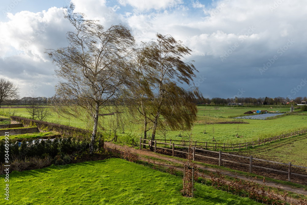 Spring trees and green agriculture fields at the Dutch countryside around Echt