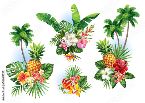 Tropical summer arrangements with palm leaves, pineapples and exotic flowers. Vector illustration isolated on a white background.