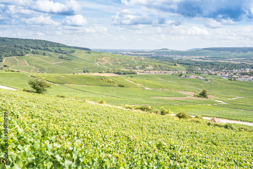 Champagne vineyards, France