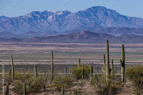 The southern Arizona desert landscape