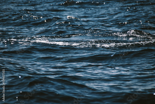 Canvas Print A massive gorgeous humpback whales showing their fin and tail and splashing off