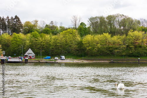 Nord-Ostsee-Kanal Anlegestelle Fähre Landwehr ein weißer Schwan schwimmt vorbei photo