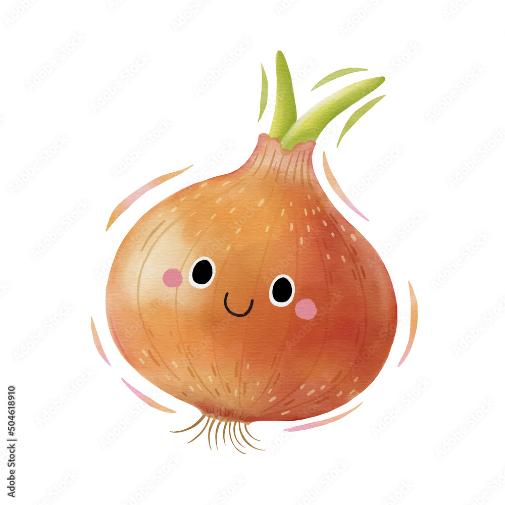 onion sketch color drawing isolated over white background | Stock vector |  Colourbox