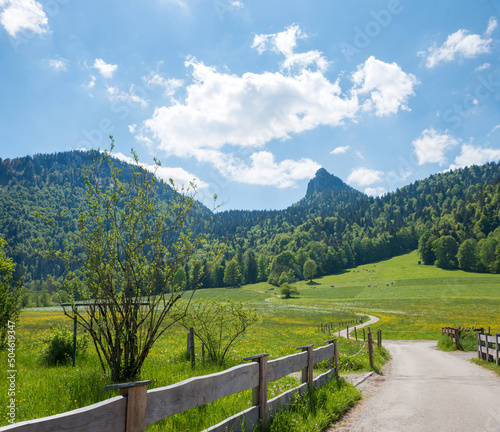 hiking trail to Leonhardstein mountain  spring landscape near Kreuth  upper bavaria