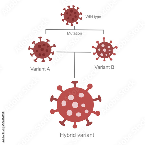 Tablou canvas A Diagram represents the occurrence line of hybrid variant  that mutation from wild type and hybridization of variant A and B, respectively