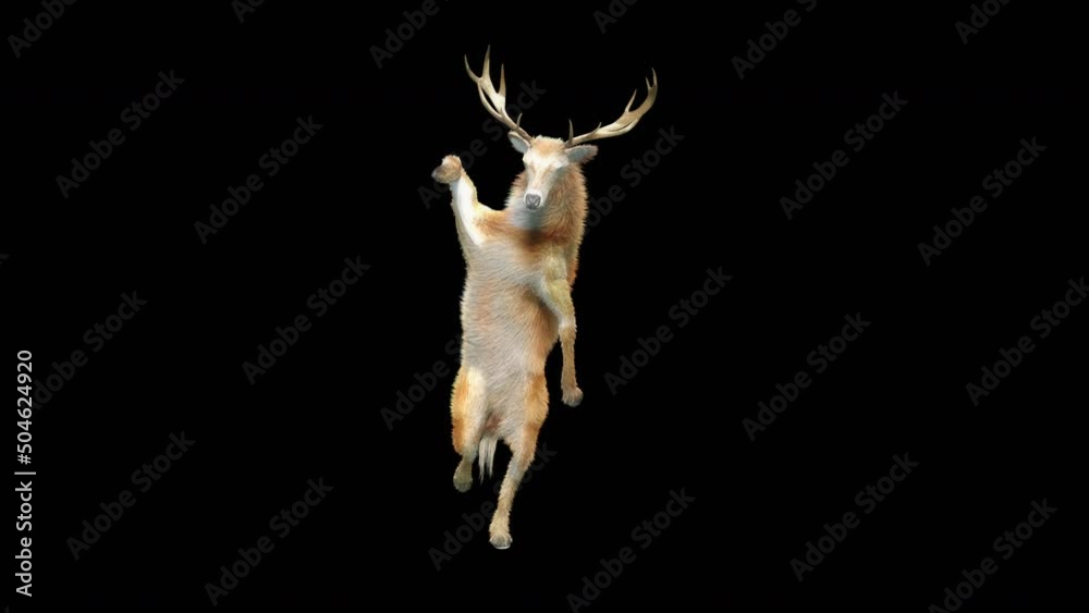 Deer Dancing CG fur 3d rendering animal realistic CGI VFX Animation Loop  composition 3d mapping cartoon, Included in the end of the clip with Alpha matte.