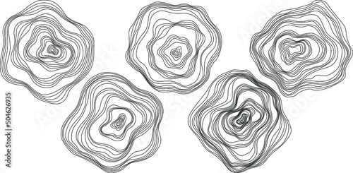 Fototapeta Naklejka Na Ścianę i Meble -  Abstract tree rings. Vector topographic map concept. Seamless background. Thin black lines on white