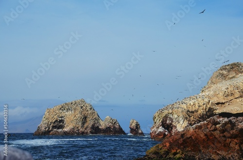 islas ballestas 12 photo