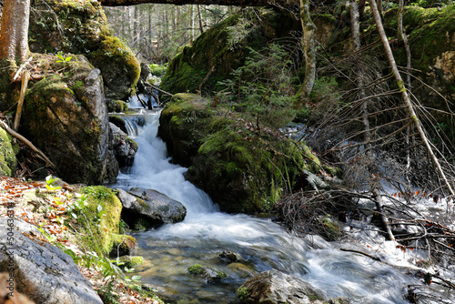 Ein Wildbach zur Zeit der Schneeschmelze im Nationalpark Ges  use  Steiermark    sterreich