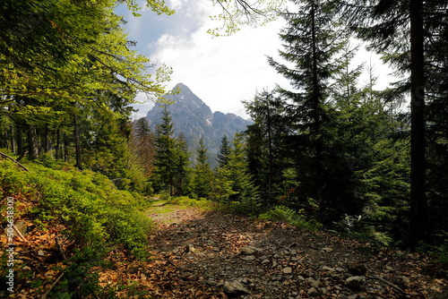 Wanderweg im Johnsbachtal mit Blick auf den Ödstein, Nationalpark Gesäuse, Steiermark
