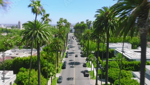 Aerial footage of the main boulevard overpassing the downtown of LA. Gorgeous scenery of lush palm trees along beautiful street in residential area with high end property. High quality 4k footage photo