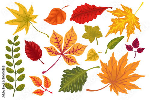 Set of colorful autumn leaves.Cartoon vector graphic.