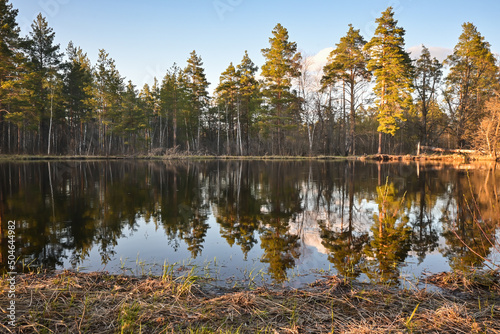 Spring in the national park.