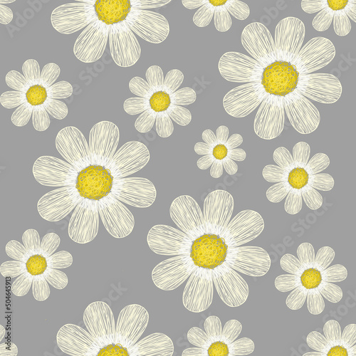 pattern, daisies in the field, multicolored, flowers, clearing