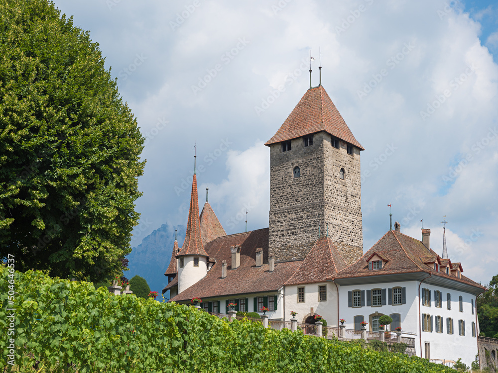 tourist resort Spiez, historic castle in summer