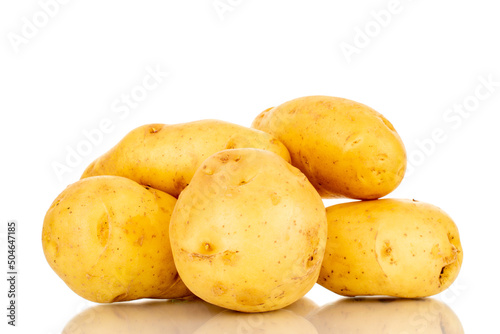 Several raw organic potatoes, close-up, isolated on a white background.