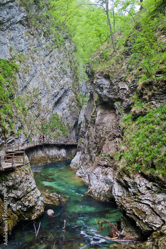 Slovenia Vintgar Gorge