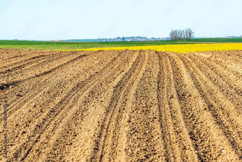 Fields cultivated in early spring in countryside. Fields cultivated in early spring in countryside.