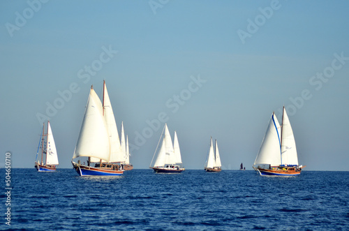 sailing boats race in sea