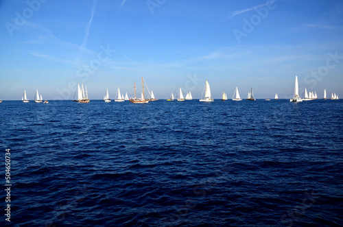 sailing boats race in sea
