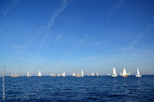 sailing boats race in sea