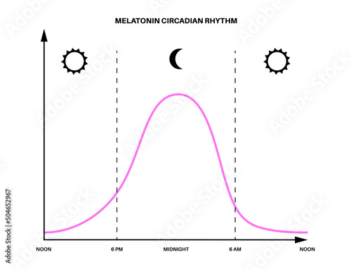 Sleep wake cycle