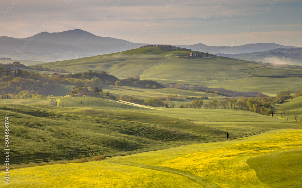 Tranquil landscape Tuscany