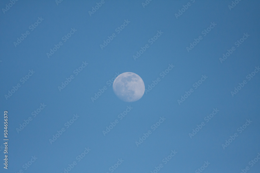 Waxing Gibbous Moon visible during the daylight in a Clear Blue Sky in the background Waxing Gibbous Moon visible during the daylight in a Clear Blue Sky in the background