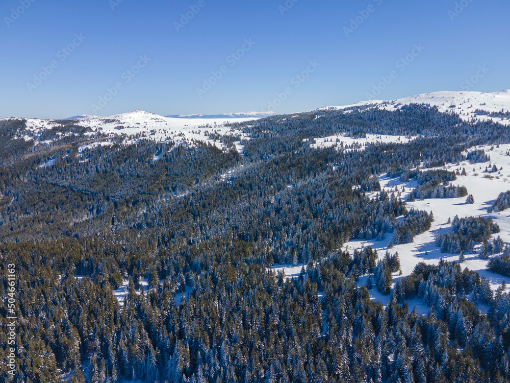 Aerial Winter view of Vitosha Mountain at Ofeliite area, Bulgaria
