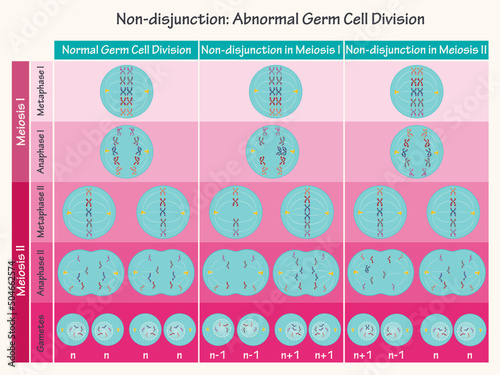 Nondisjunction: Abnormal Germ Cell Division