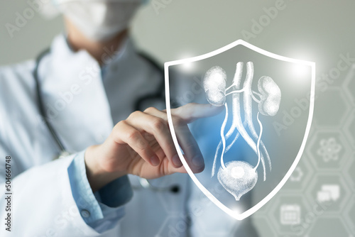 Unrecognizable female doctor holding shield and graphic virtual visualization of Bladder and Kidneys organ in hands.