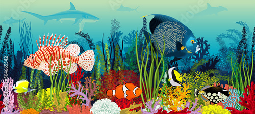 Vector underwater coral reef horizontal seamless pattern. Undersea bottom texture with colorful tropical fishes and sharks