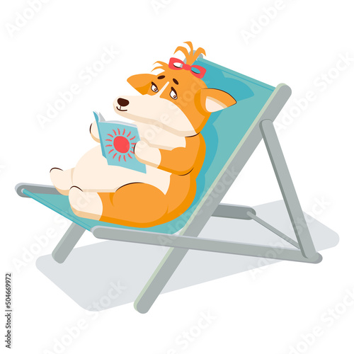 A happy corgi dog is sitting on a chaise longue and reading a magazine. Vector illustration