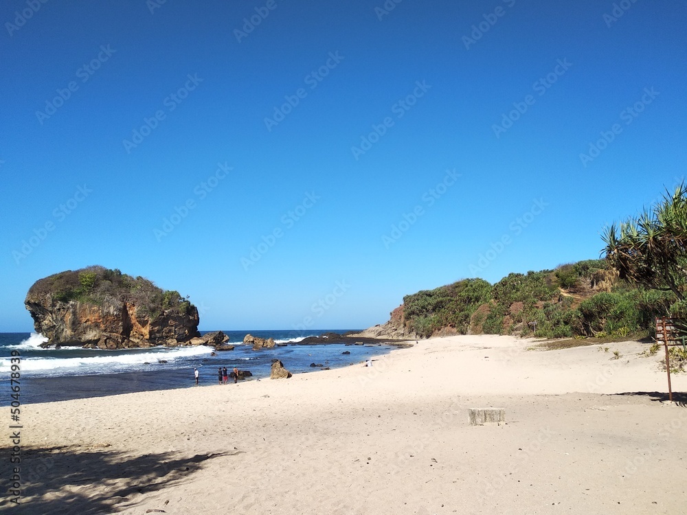 beach with trees