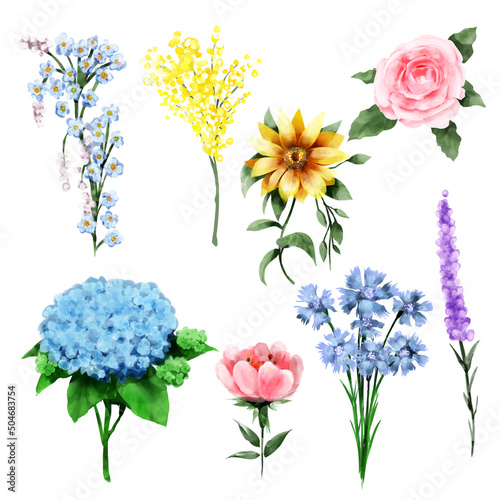 Set of wild flower watercolor style on white background.