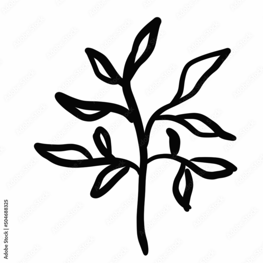 vegetation elements,flowers,doodles,linear black outline drawing,dried flower,forest flowers,shrubs,branches,zigzags,drops,wavy lines,illustration,botany,floristry,graphic drawing vegetation elements,flowers,doodles,linear black outline drawing,dried flower,forest flowers,shrubs,branches,zigzags,drops,wavy lines,illustration,botany,floristry,graphic drawing
