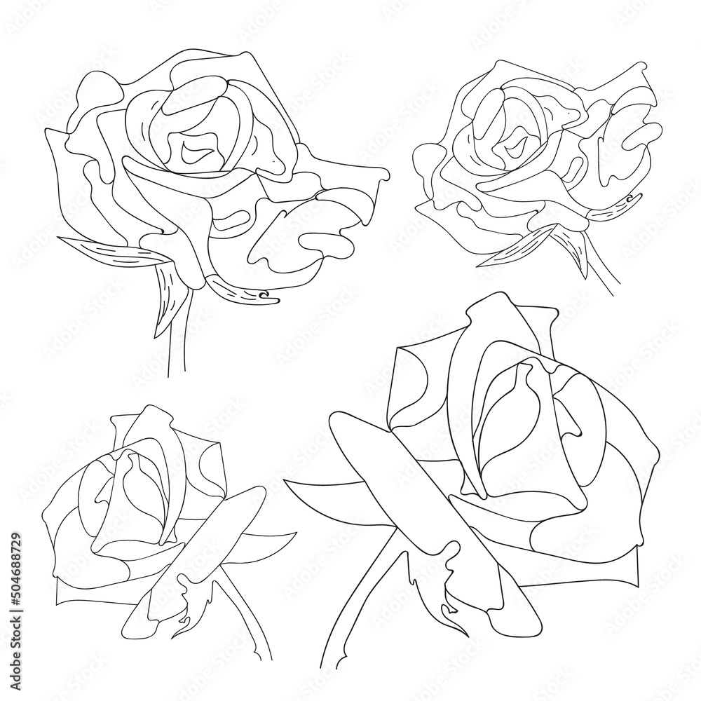 Rose vector set by hand drawing. Beautiful flower on white background. Black color line art rose.