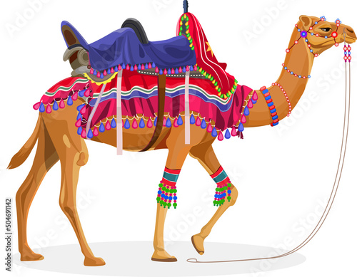 Leinwand Poster Beautiful Decorated dromedary camel in India